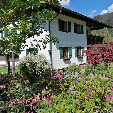 Ferienwohnungen Asterbach Gosau Exteriör bild