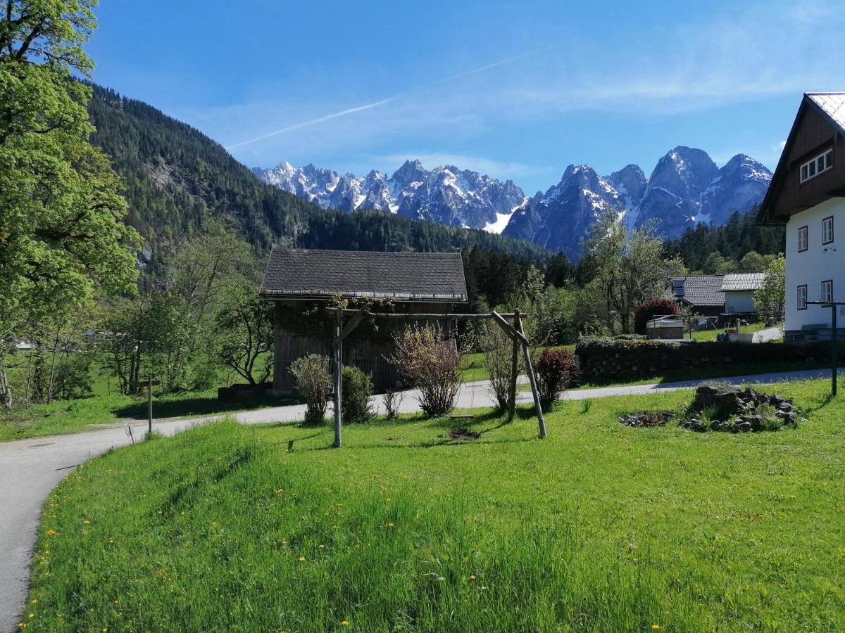 Ferienwohnungen Asterbach Gosau Exteriör bild