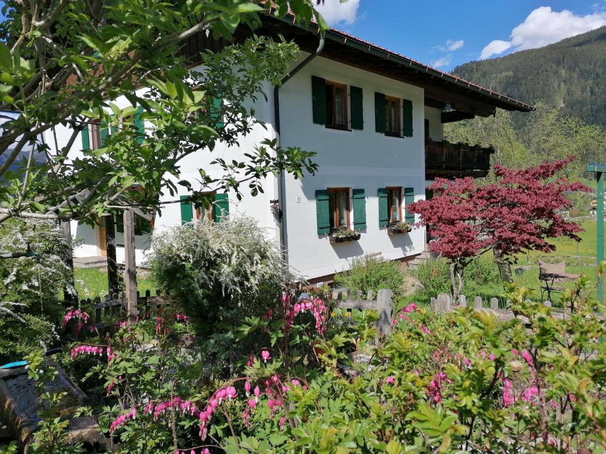 Ferienwohnungen Asterbach Gosau Exteriör bild