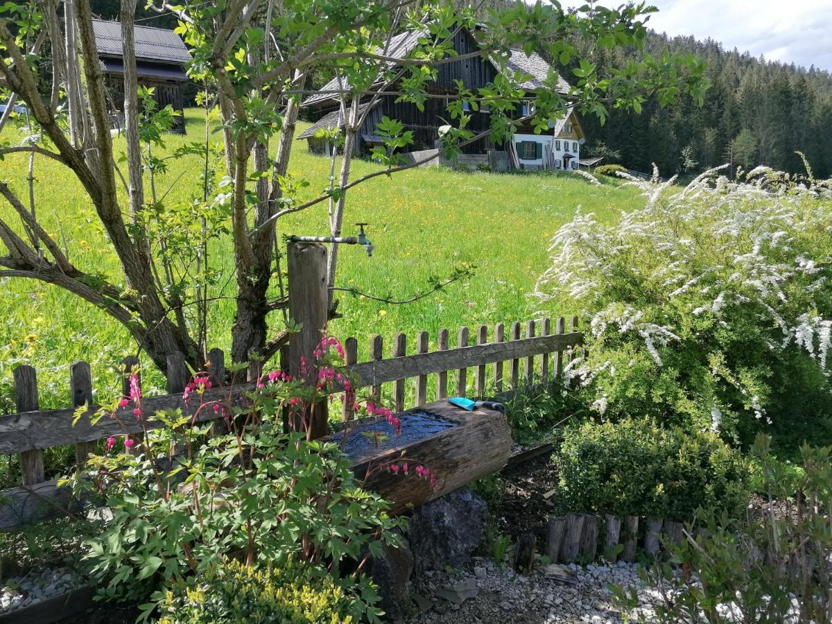 Ferienwohnungen Asterbach Gosau Exteriör bild