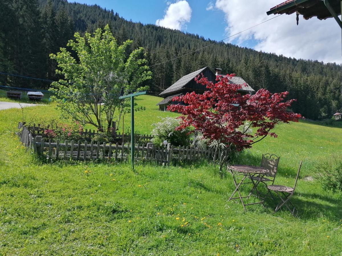 Ferienwohnungen Asterbach Gosau Exteriör bild