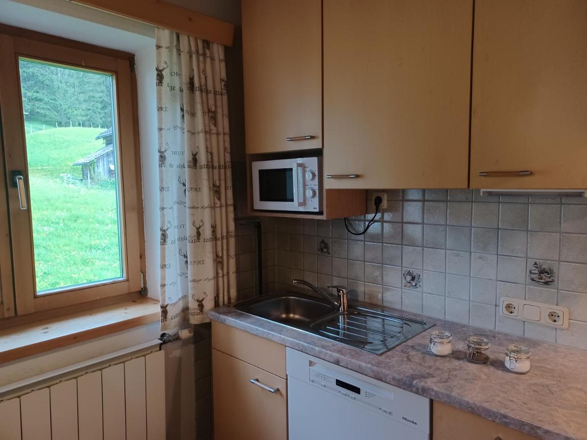 Ferienwohnungen Asterbach Gosau Exteriör bild