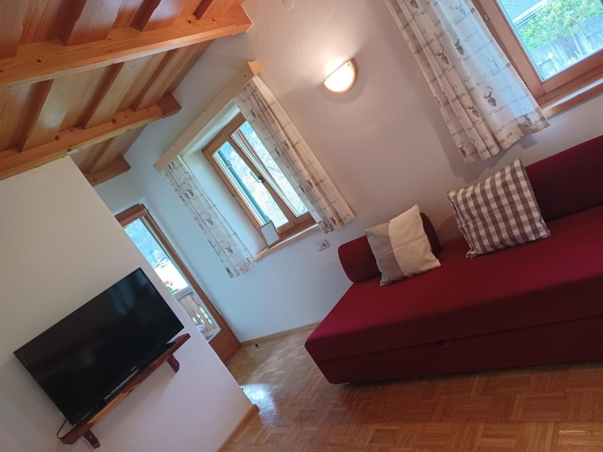 Ferienwohnungen Asterbach Gosau Exteriör bild