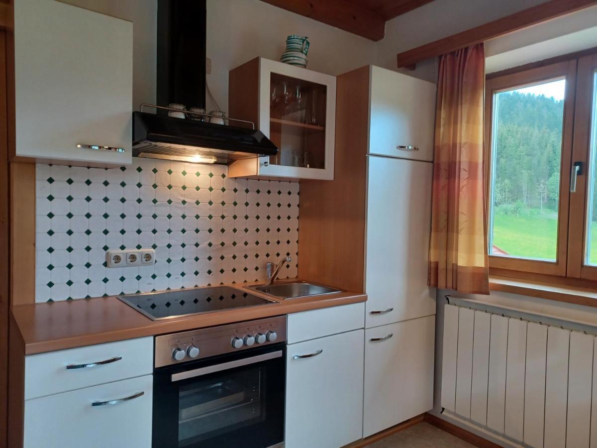Ferienwohnungen Asterbach Gosau Exteriör bild
