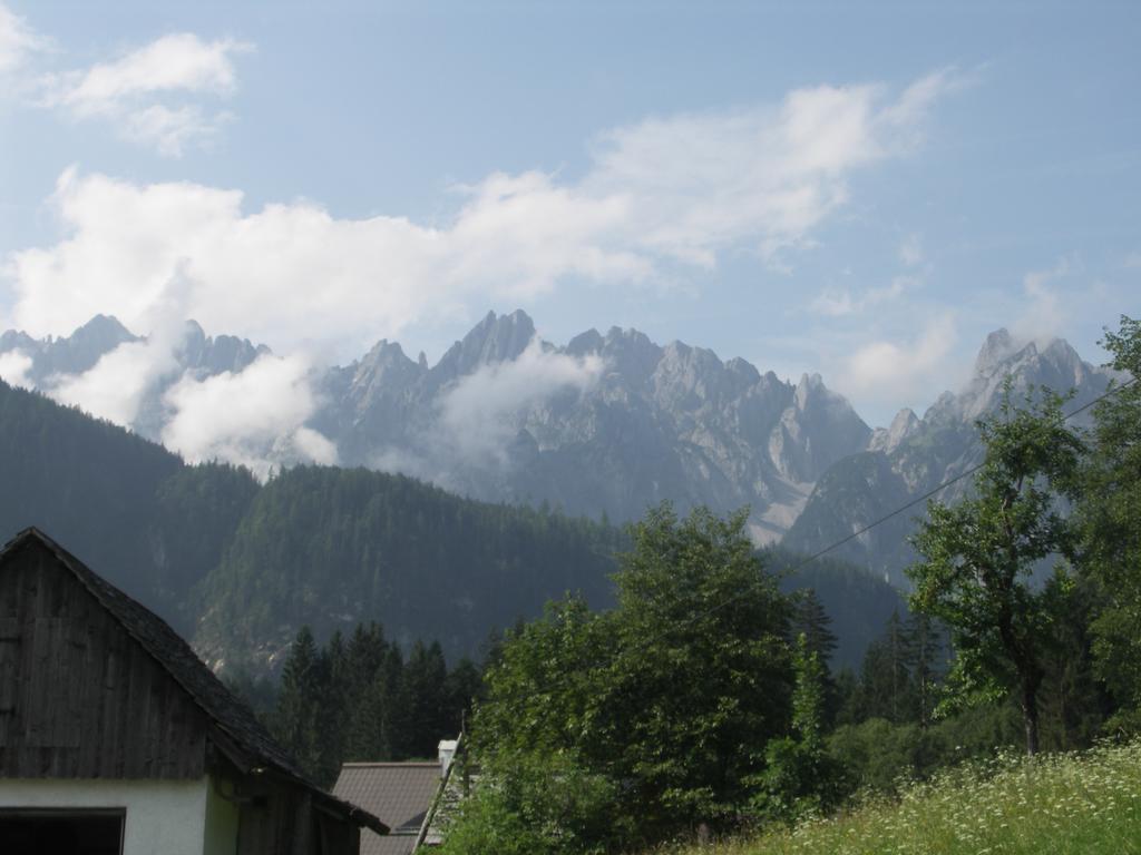 Ferienwohnungen Asterbach Gosau Exteriör bild